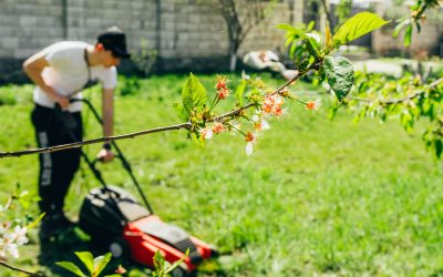 Hardscaping Landscaping In Spokane, WA: Add Value And Functionality To Your Yard